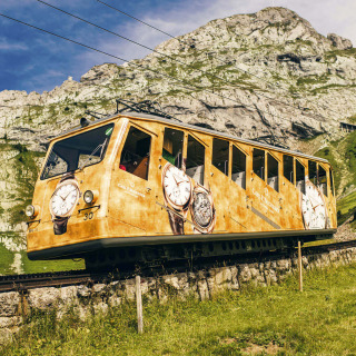 goldener Zug