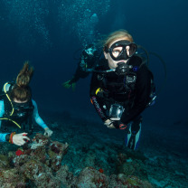 CFB and the Manta Trust: Maldives Research Expedition 2021 